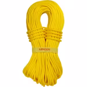 Tendon Ambition 9.8mm rope